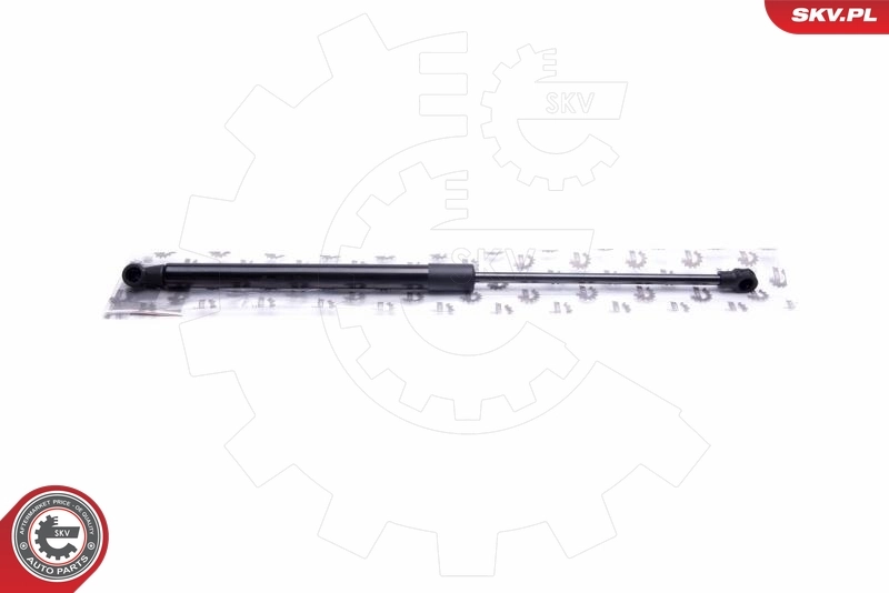 Gas Spring, boot/cargo area